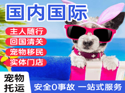 兰州航空物流国际宠物托运 【国